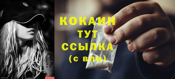 стаф Богданович