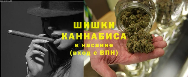 стаф Богданович