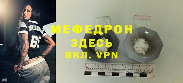 стаф Богданович