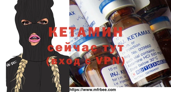 стаф Богданович