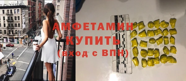 стаф Богданович