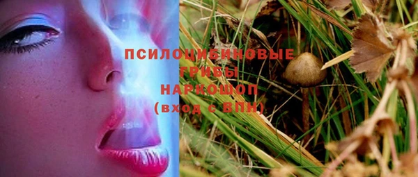 гидропоника Богородицк