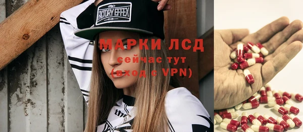 стаф Богданович