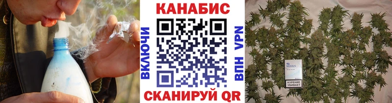 Шишки марихуана конопля  Палласовка 